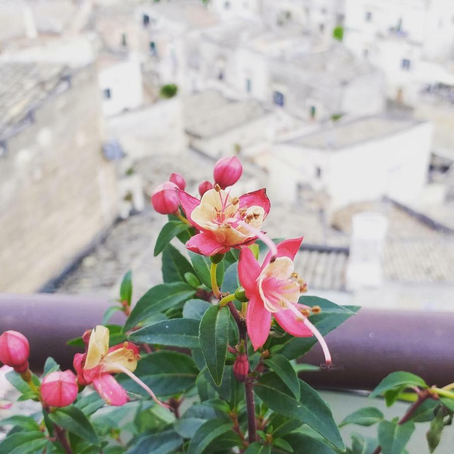 Sole Di Paglia Apartment Matera Exterior photo